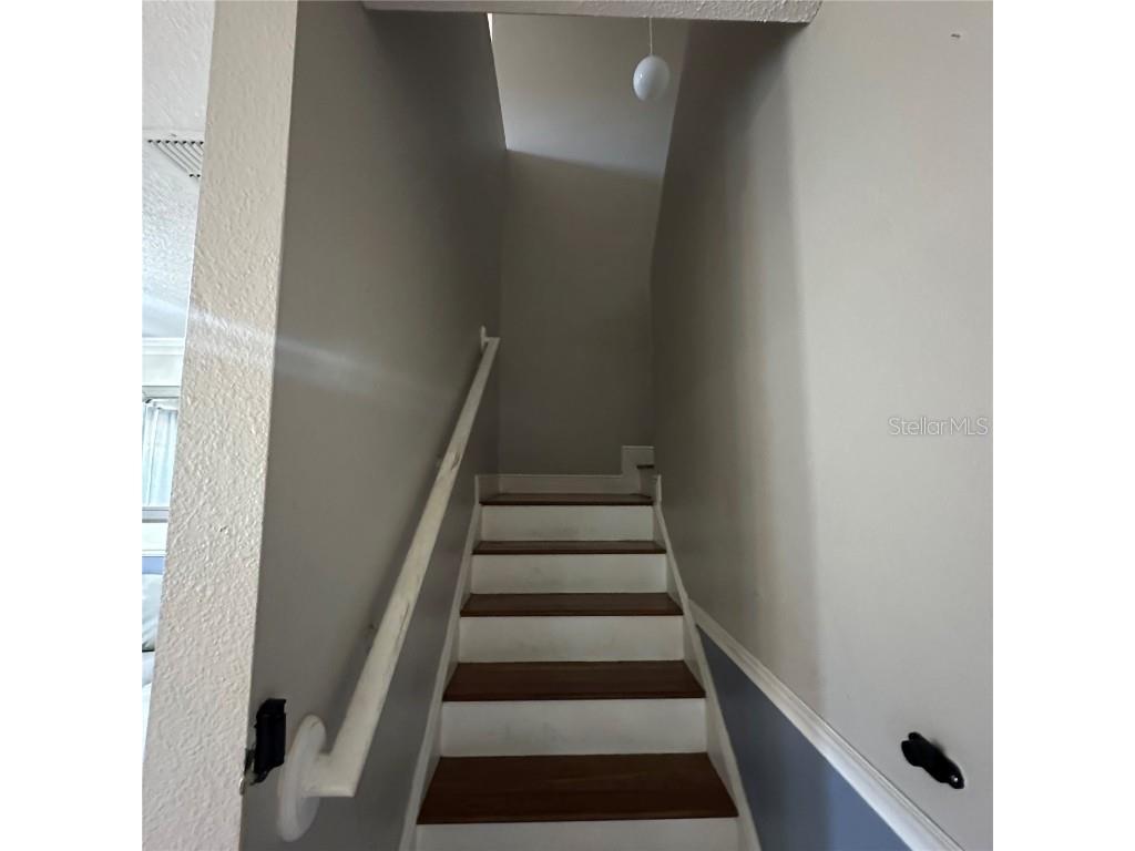 309 Anchovie Court Kissimmee FL 34759 S5137853 image13