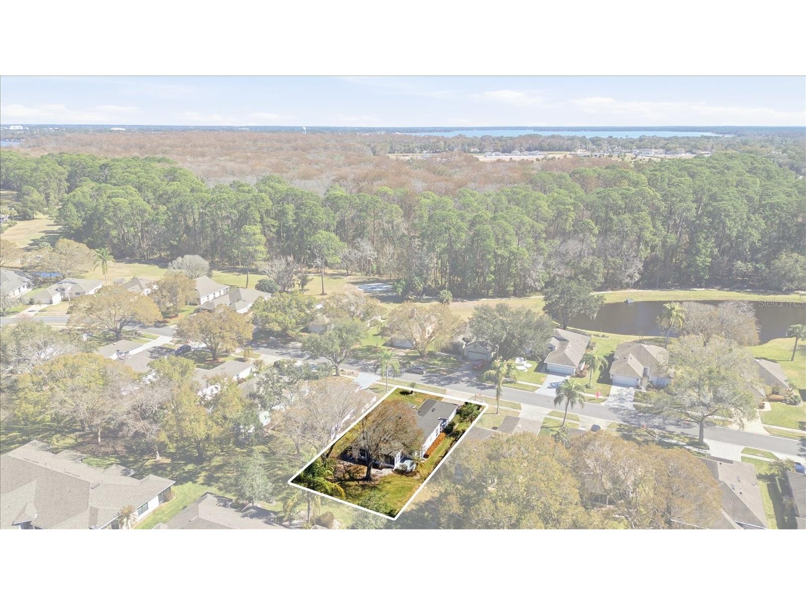 309 Baytree Boulevard Tavares FL 32778 G5107527 image26