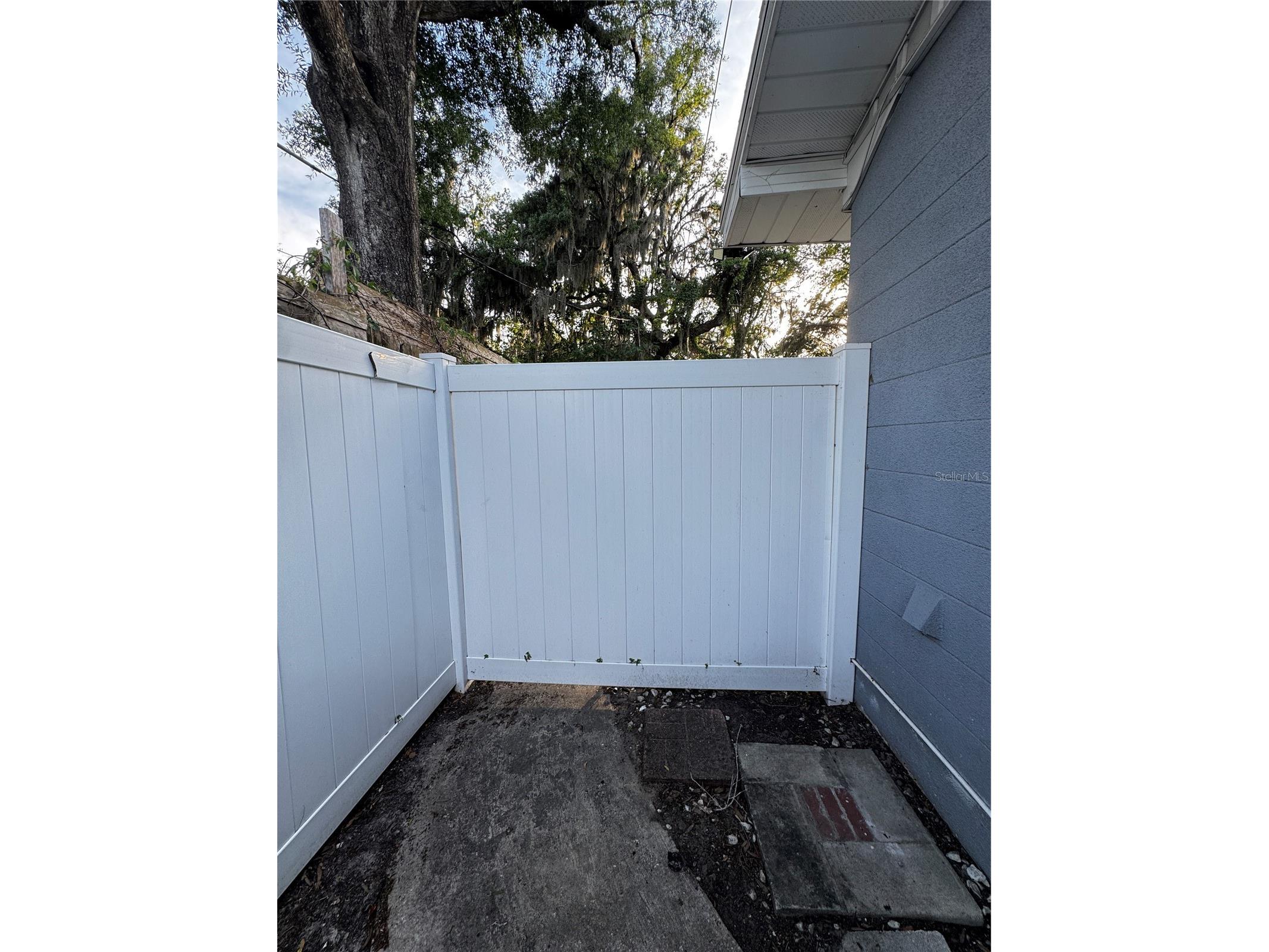 309 Belle Claire Place Temple Terrace FL 33617 TB8501955 image26