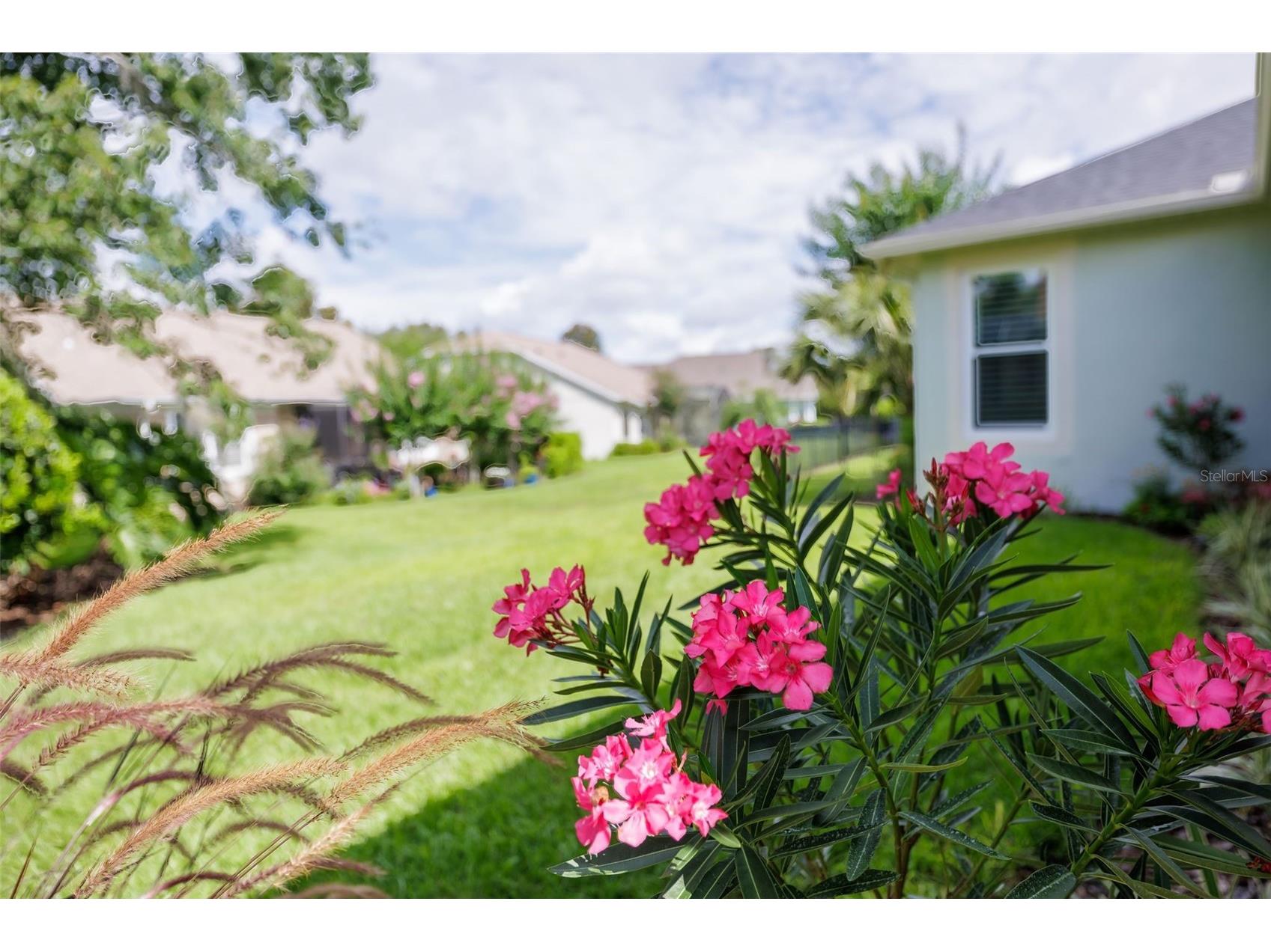 309 Bellingrath Terrace Deland FL 32724 V4949550 image44