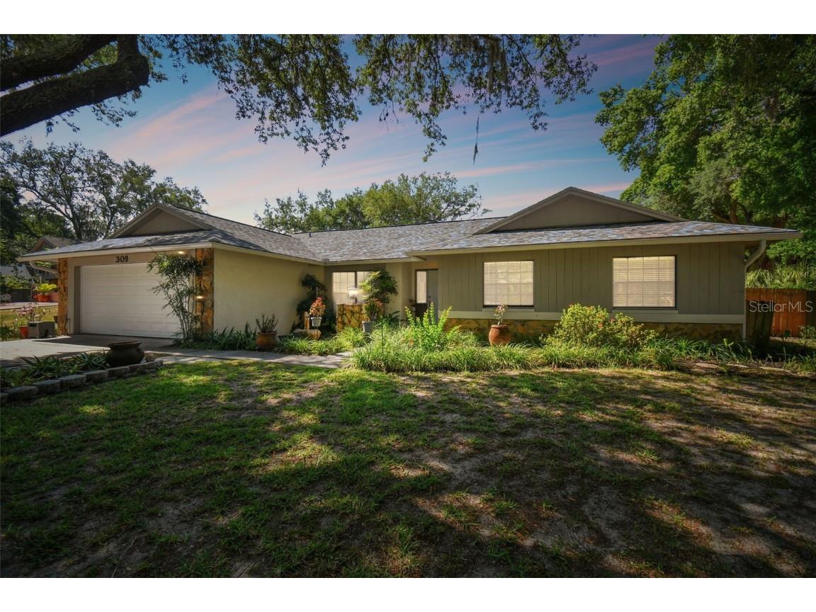 309 Bryan Oak Avenue Brandon FL 33511 T3523003 image1