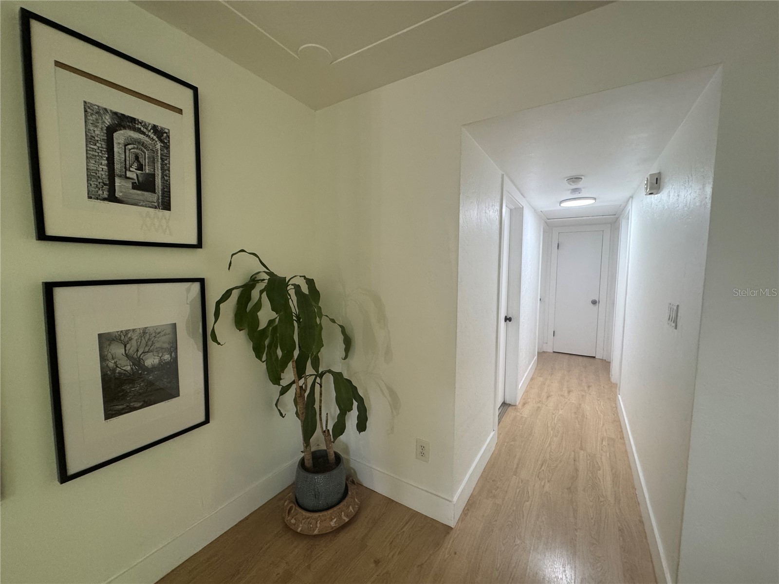 309 Deer Park Avenue Tampa FL 33617 TB8524864 image11