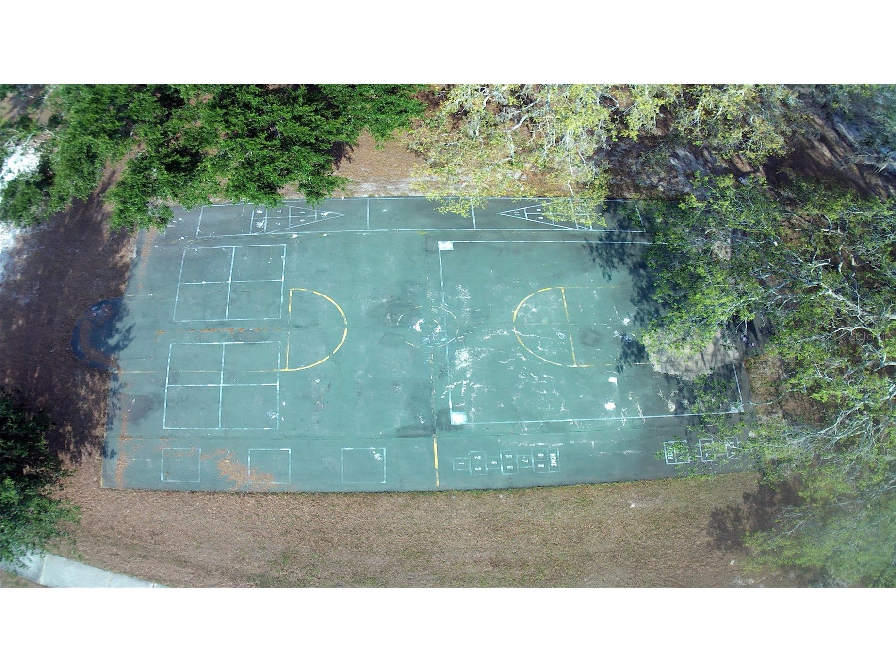 309 Deer Park Avenue Temple Terrace FL 33617 TB8427001 image29