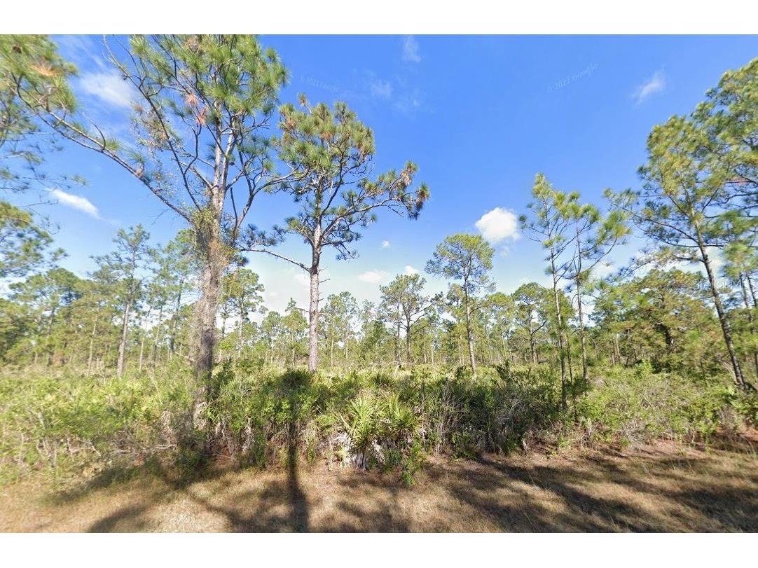 309 Granada Drive Indian Lake Estates FL 33855 - LAKE WEOHYAKAPKA U8194365 image1