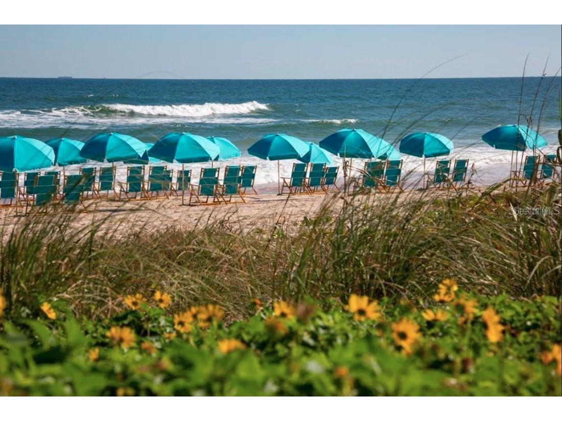 309 Gypsy Palace Lane Daytona Beach FL 32124 TB8424426 image26