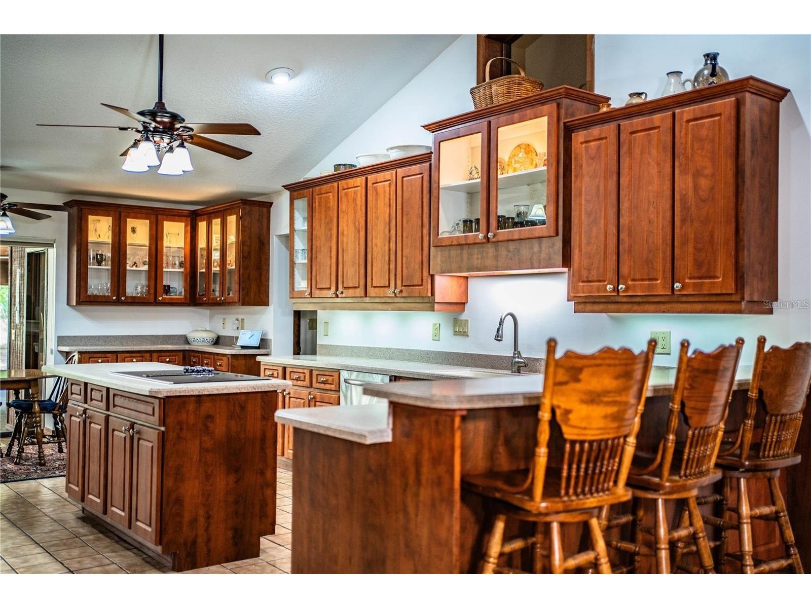 309 Hidden Lake Drive Brandon FL 33511 TB8392635 image10