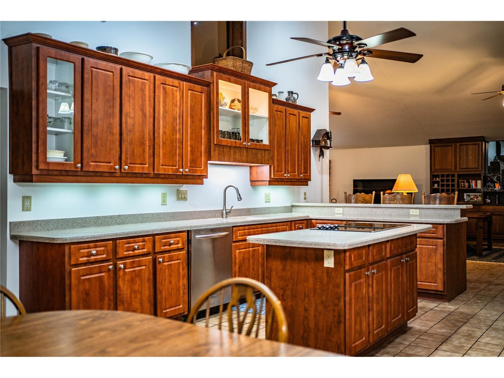 309 Hidden Lake Drive Brandon FL 33511 TB8392635 image12