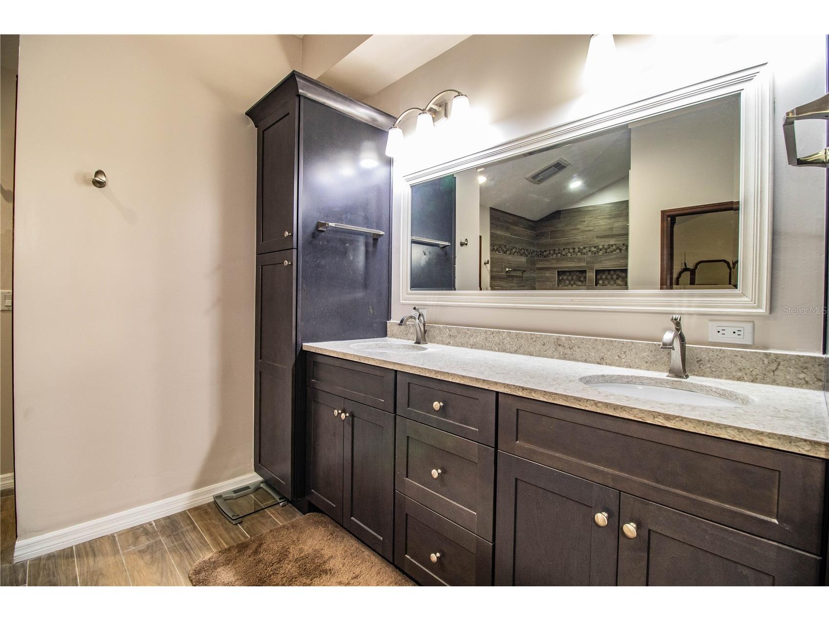 309 Hidden Lake Drive Brandon FL 33511 TB8392635 image28