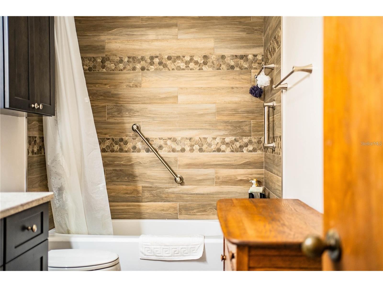 309 Hidden Lake Drive Brandon FL 33511 TB8392635 image31