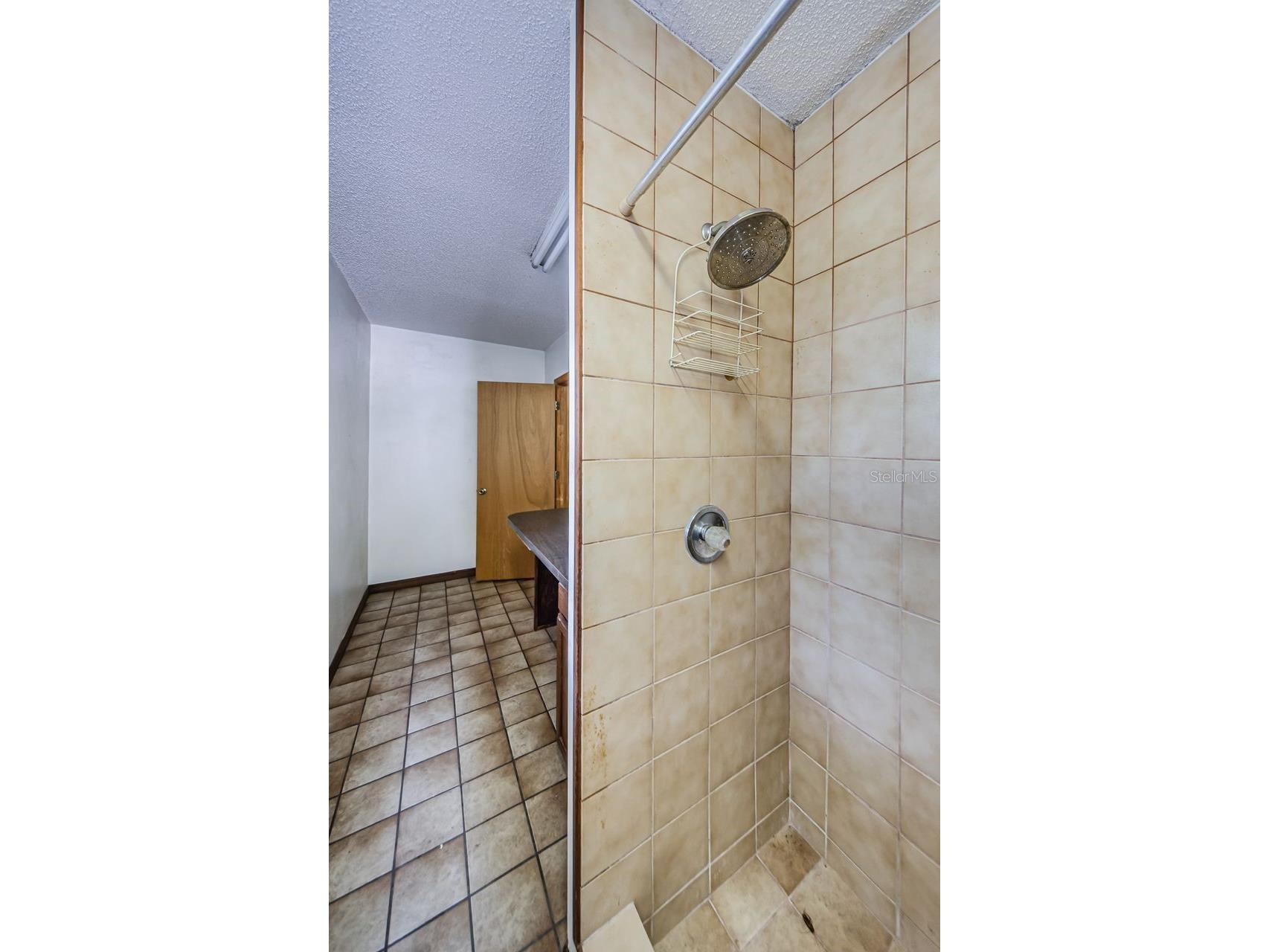 309 Hidden Lake Drive Brandon FL 33511 TB8392635 image46