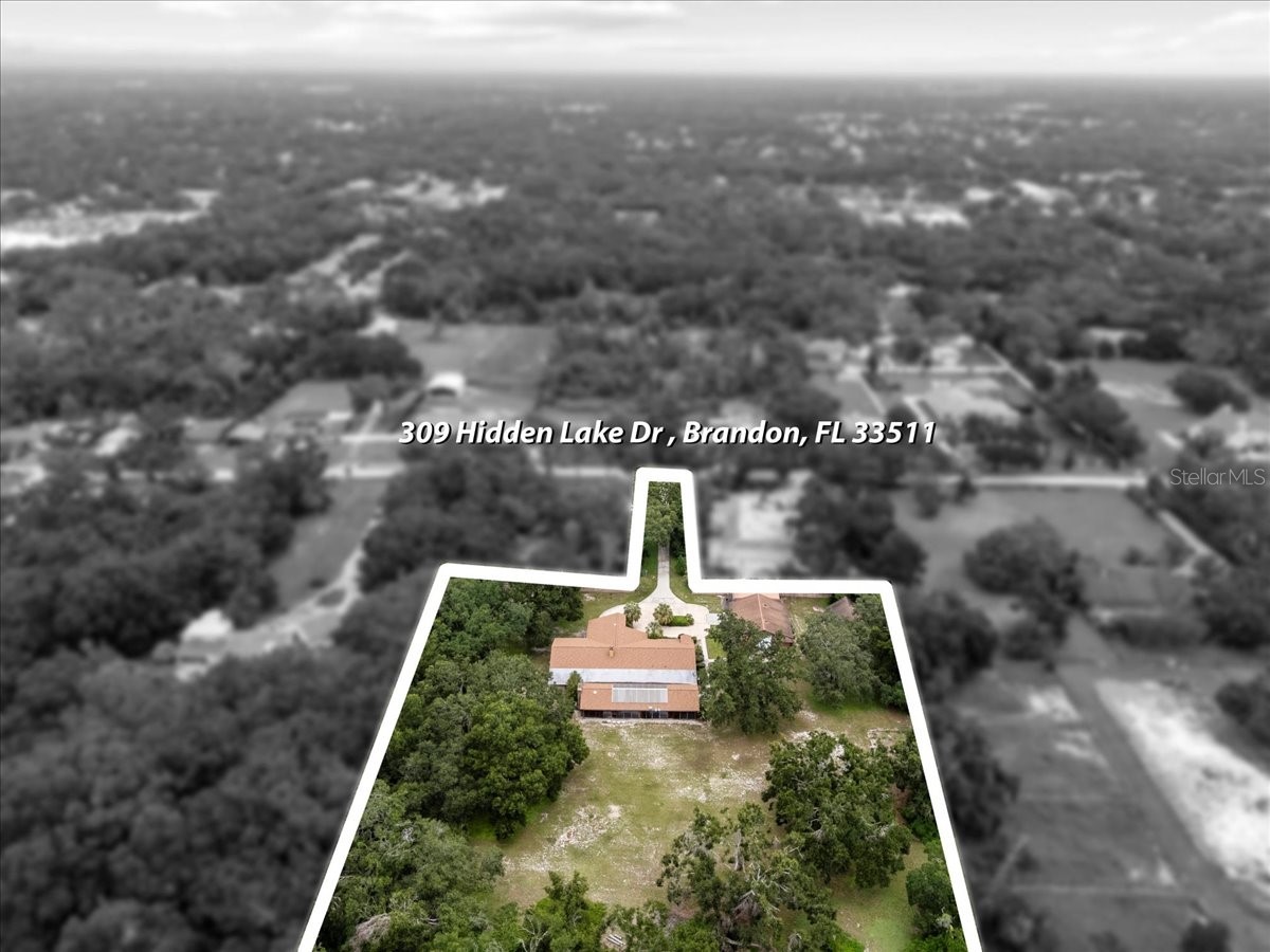 309 Hidden Lake Drive Brandon FL 33511 TB8392635 image51