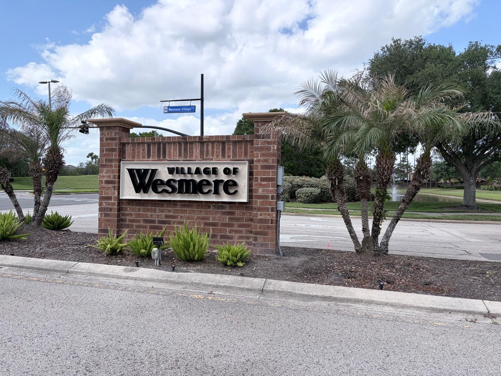 309 Horsemint Lane Ocoee FL 34761 O6402193 image20