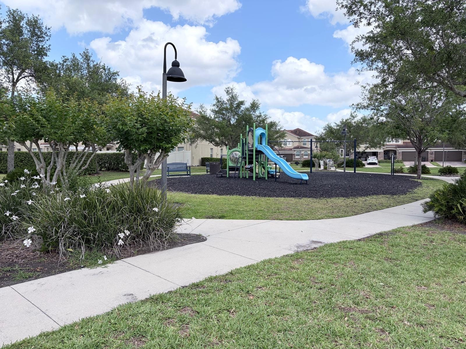 309 Horsemint Lane Ocoee FL 34761 O6402193 image24