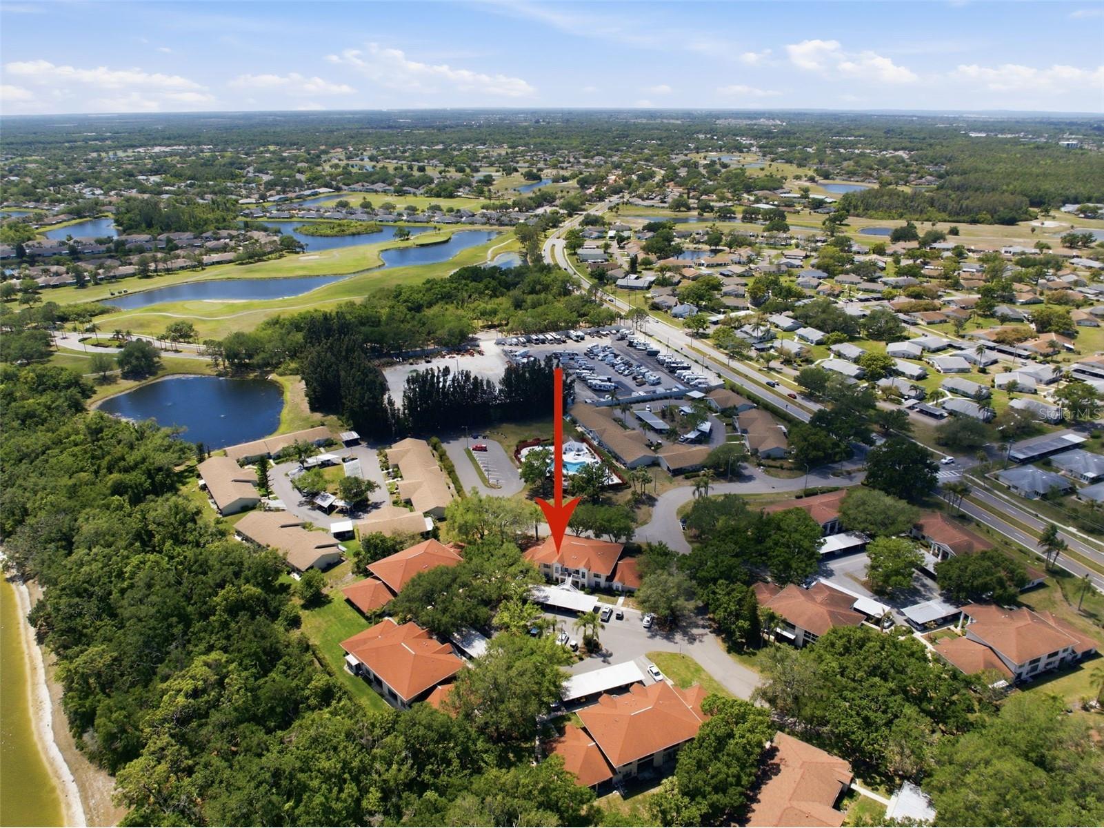 309 Knottwood Court #309 Sun City Center FL 33573 TB8495787 image4