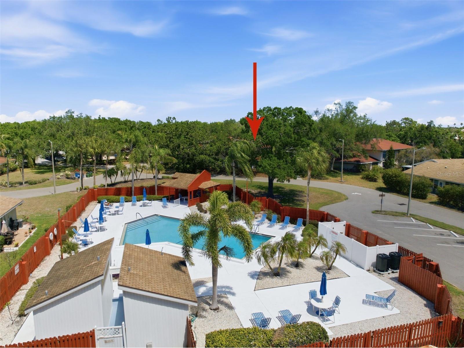 309 Knottwood Court #309 Sun City Center FL 33573 TB8495787 image6