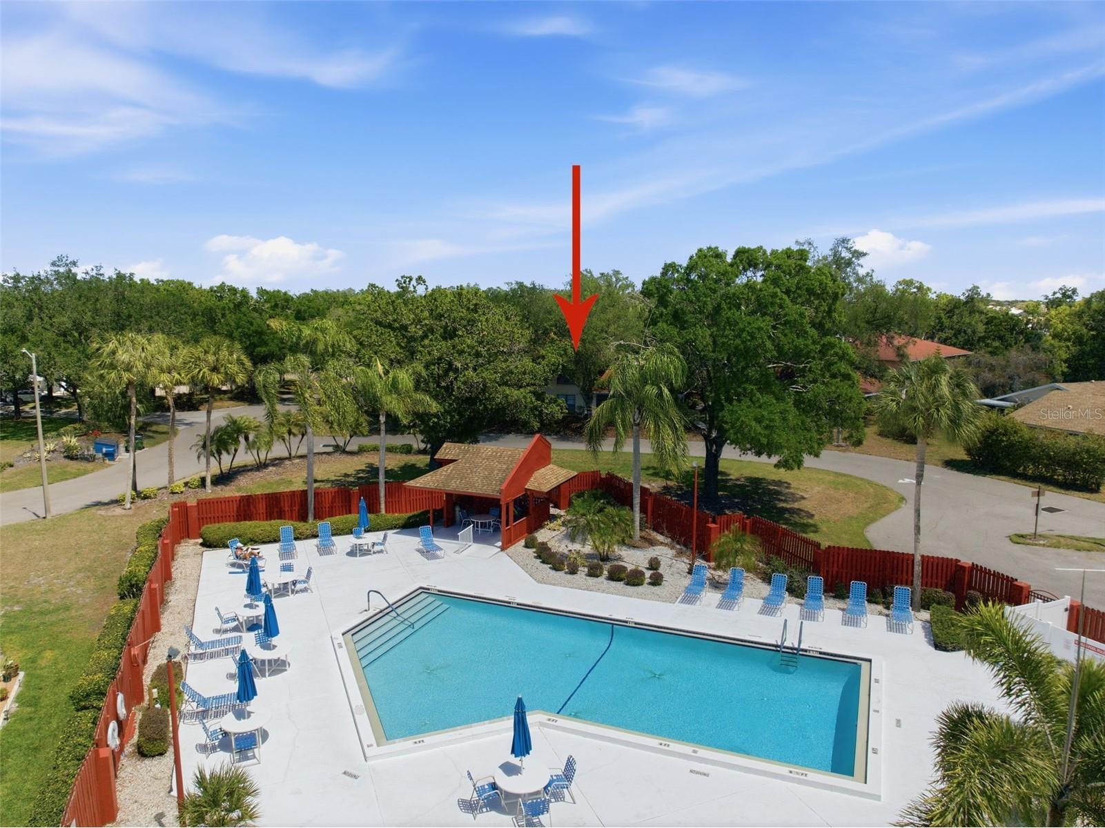 309 Knottwood Court #309 Sun City Center FL 33573 TB8495787 image7