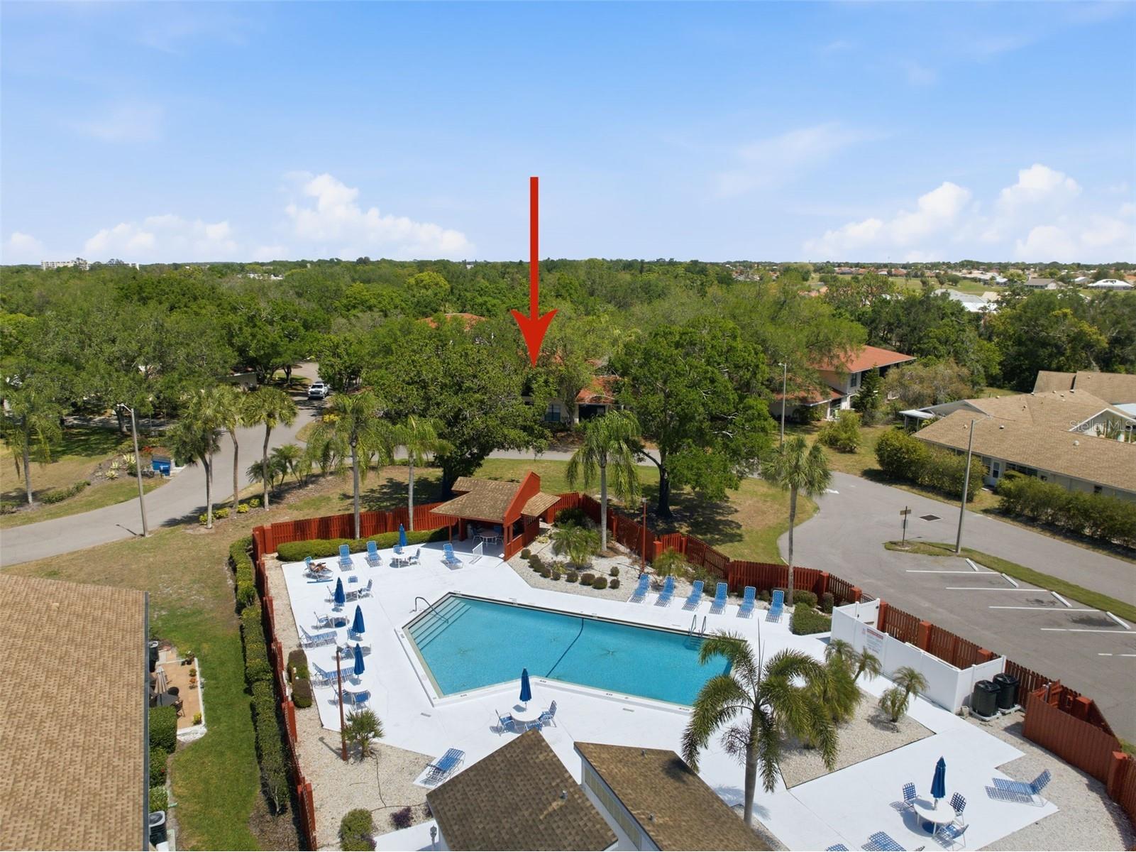 309 Knottwood Court #309 Sun City Center FL 33573 TB8495787 image8