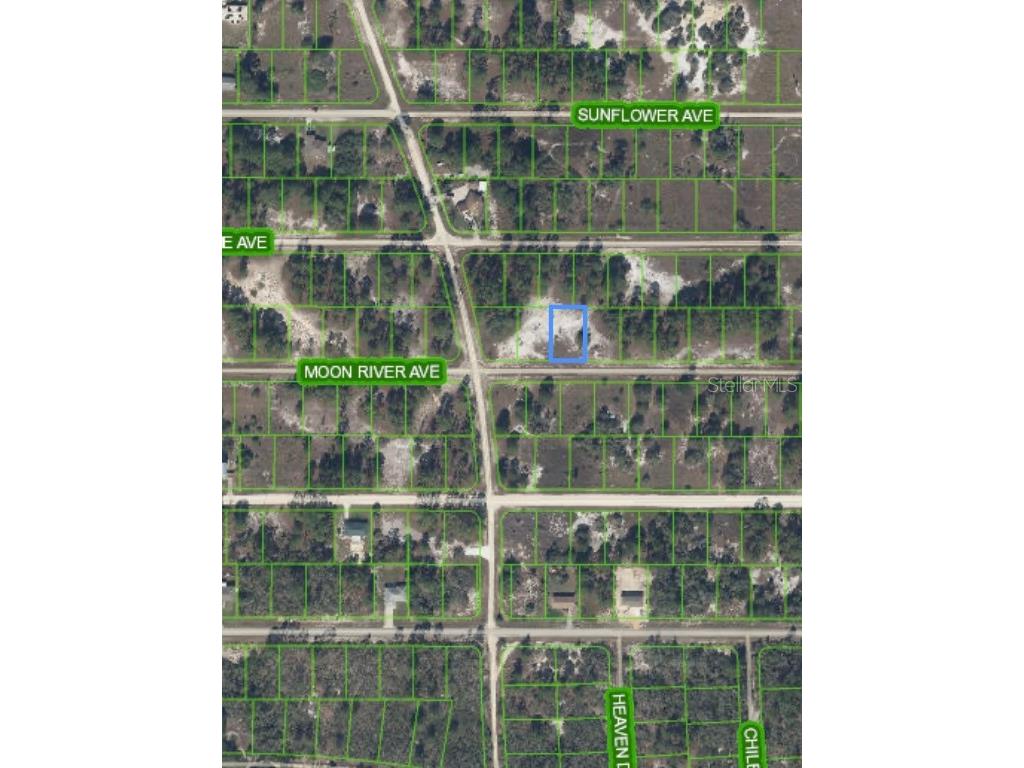 309 Moon River Avenue Lake Placid FL 33852 O6181751 image1