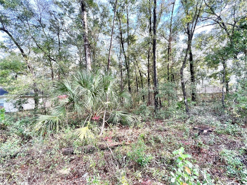 309 N Savary Avenue Inverness FL 34453 G5063327 image1