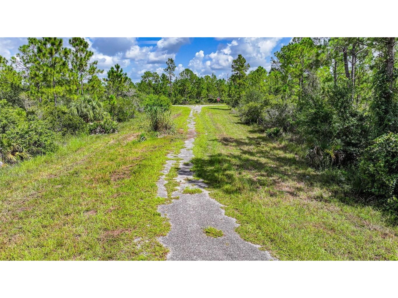 309 Nagle Court Lehigh Acres FL 33972 W7878565 image3