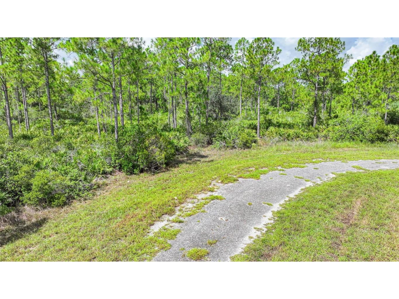 309 Nagle Court Lehigh Acres FL 33972 W7878565 image4