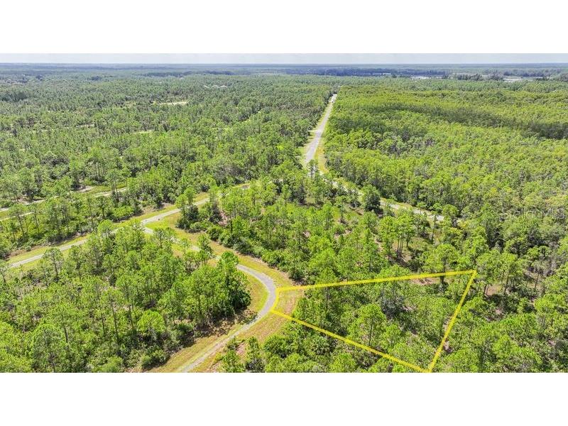 309 Nagle Court Lehigh Acres FL 33972 W7878565 image6