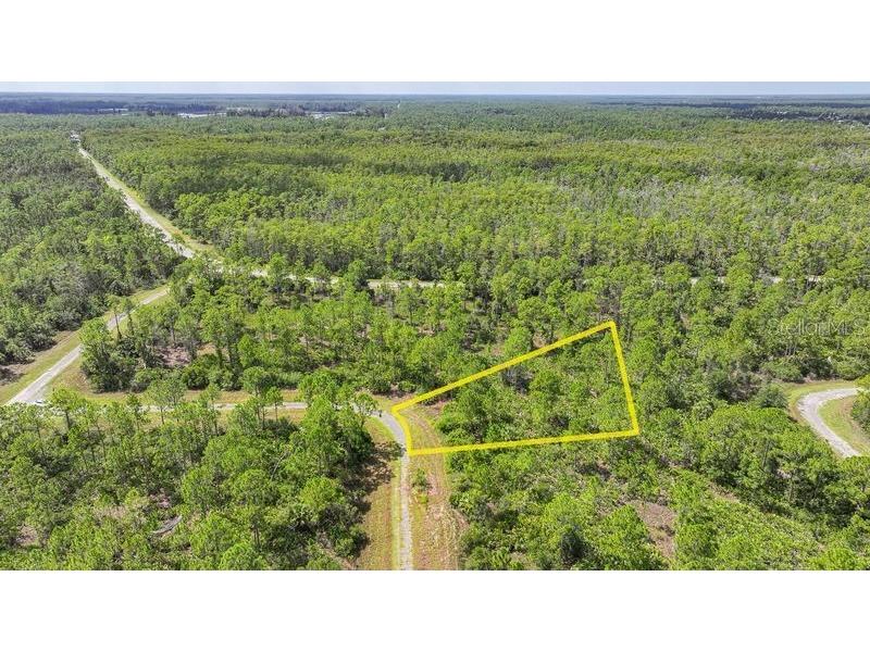 309 Nagle Court Lehigh Acres FL 33972 W7878565 image7
