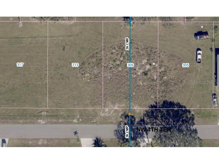 309 NW 4th Terrace Cape Coral FL 33993 T3457258 image1