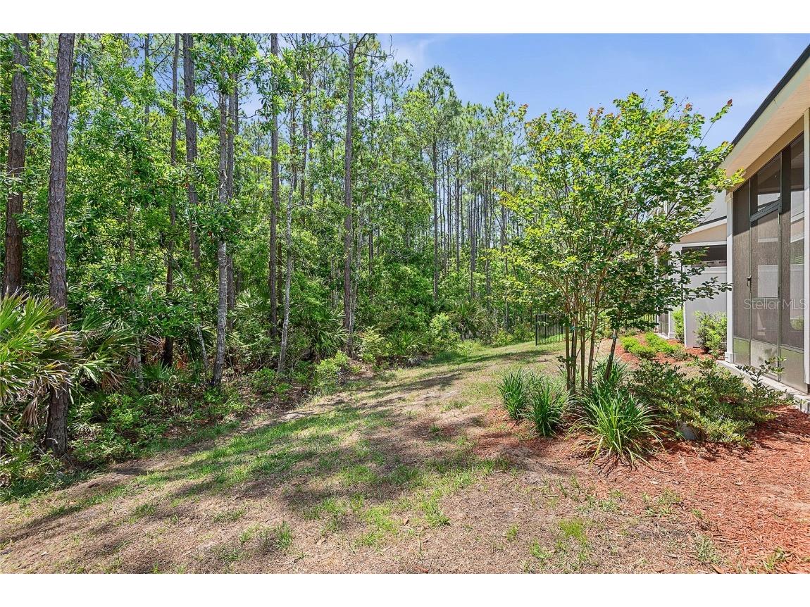 309 Redbud Road Palm Coast FL 32137 FC309439 image33