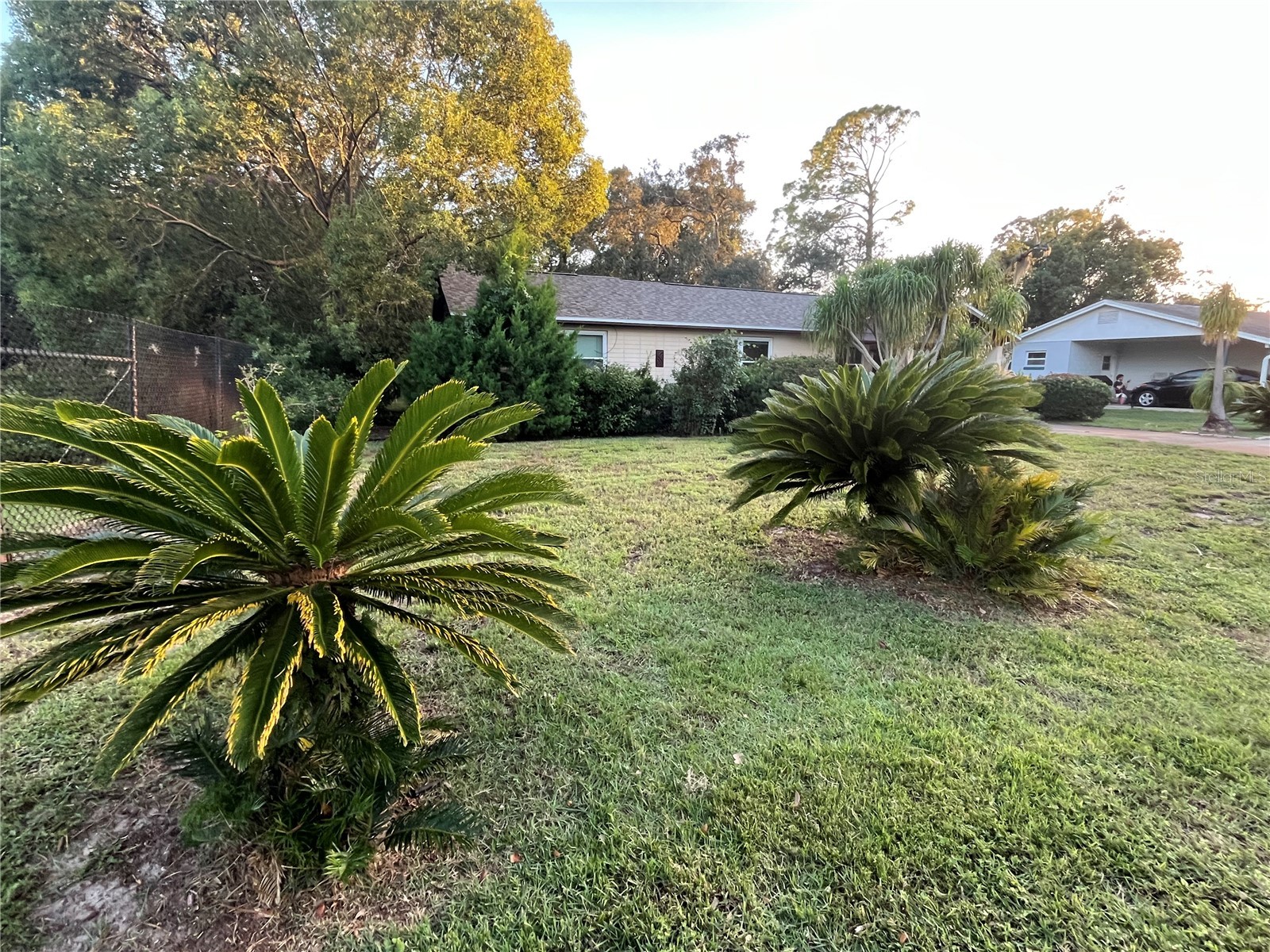 309 Riviera Drive Debary FL 32713 TB8436514 image3