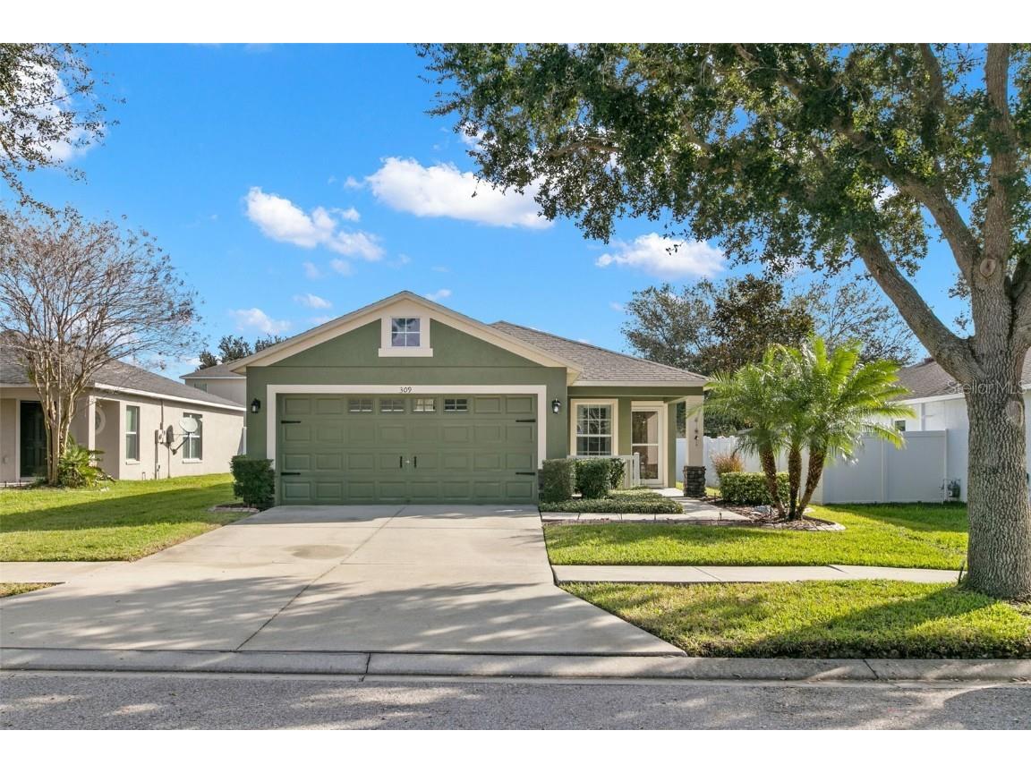 309 Westchester Hills Lane Valrico FL 33594 T3495472 image1