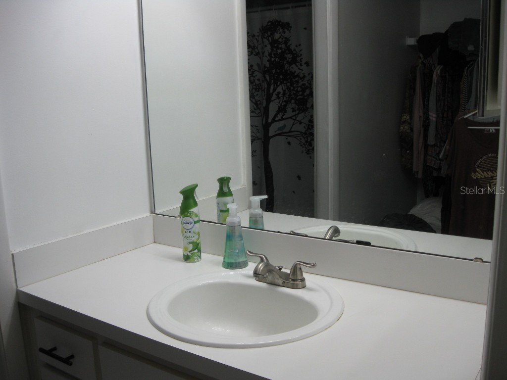 3090 Pointer Drive #3090 Palm Harbor FL 34683 TB8452766 image20