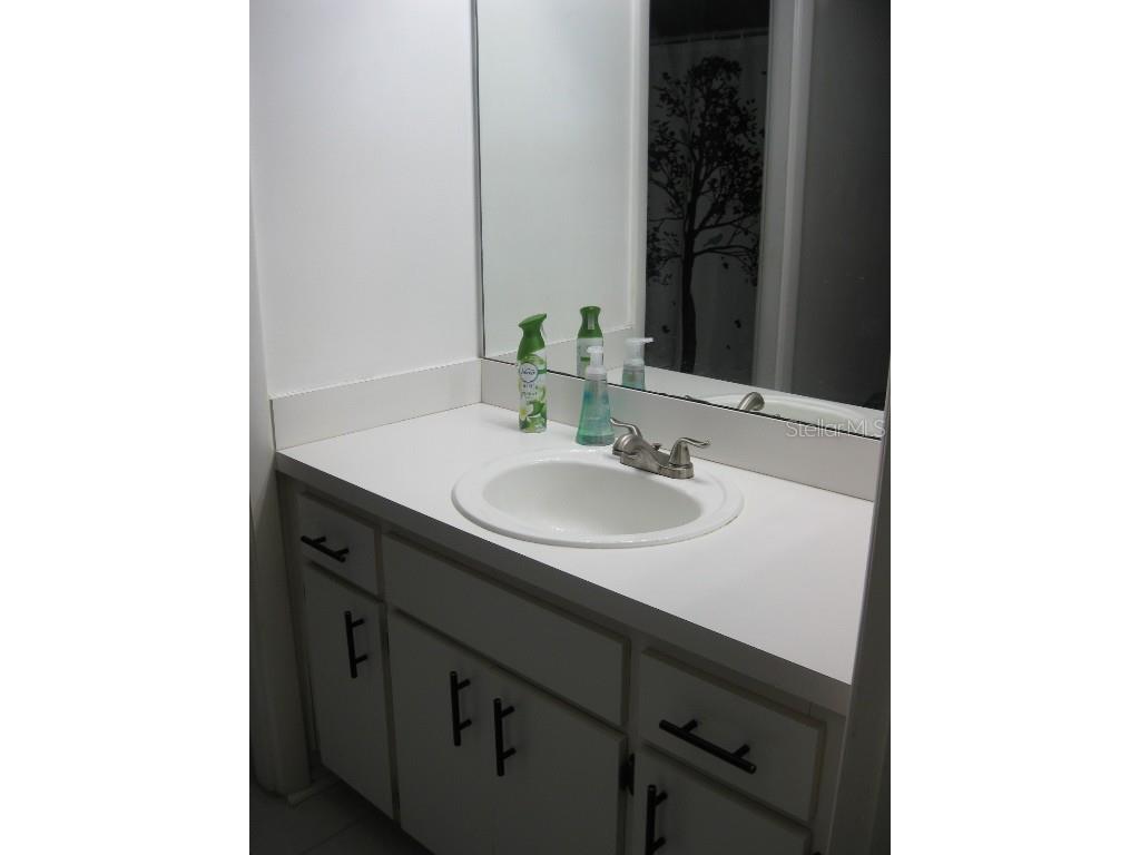 3090 Pointer Drive #3090 Palm Harbor FL 34683 TB8452766 image21