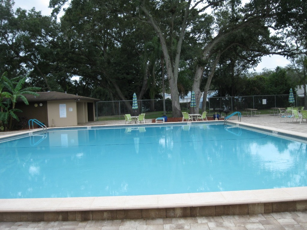 3090 Pointer Drive #3090 Palm Harbor FL 34683 TB8452766 image26