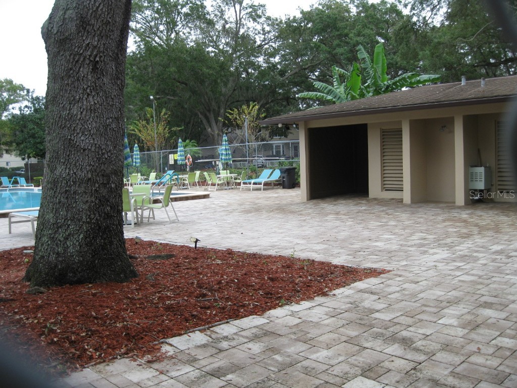3090 Pointer Drive #3090 Palm Harbor FL 34683 TB8452766 image29