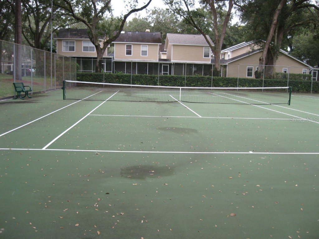 3090 Pointer Drive #3090 Palm Harbor FL 34683 TB8452766 image31