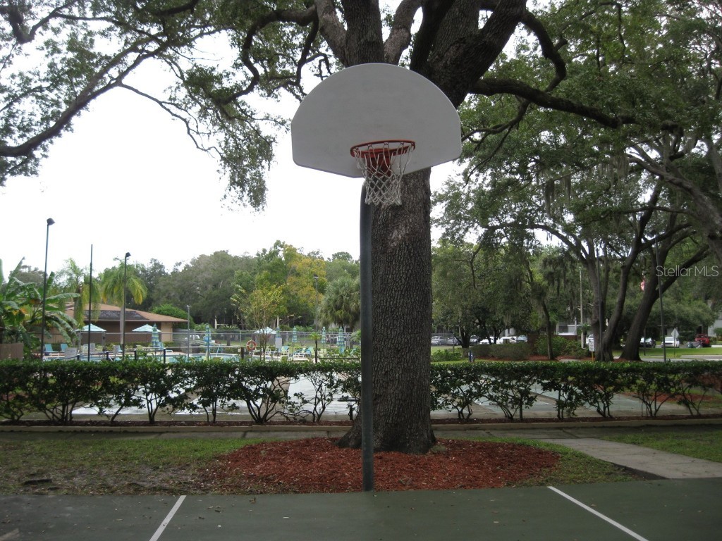 3090 Pointer Drive #3090 Palm Harbor FL 34683 TB8452766 image33