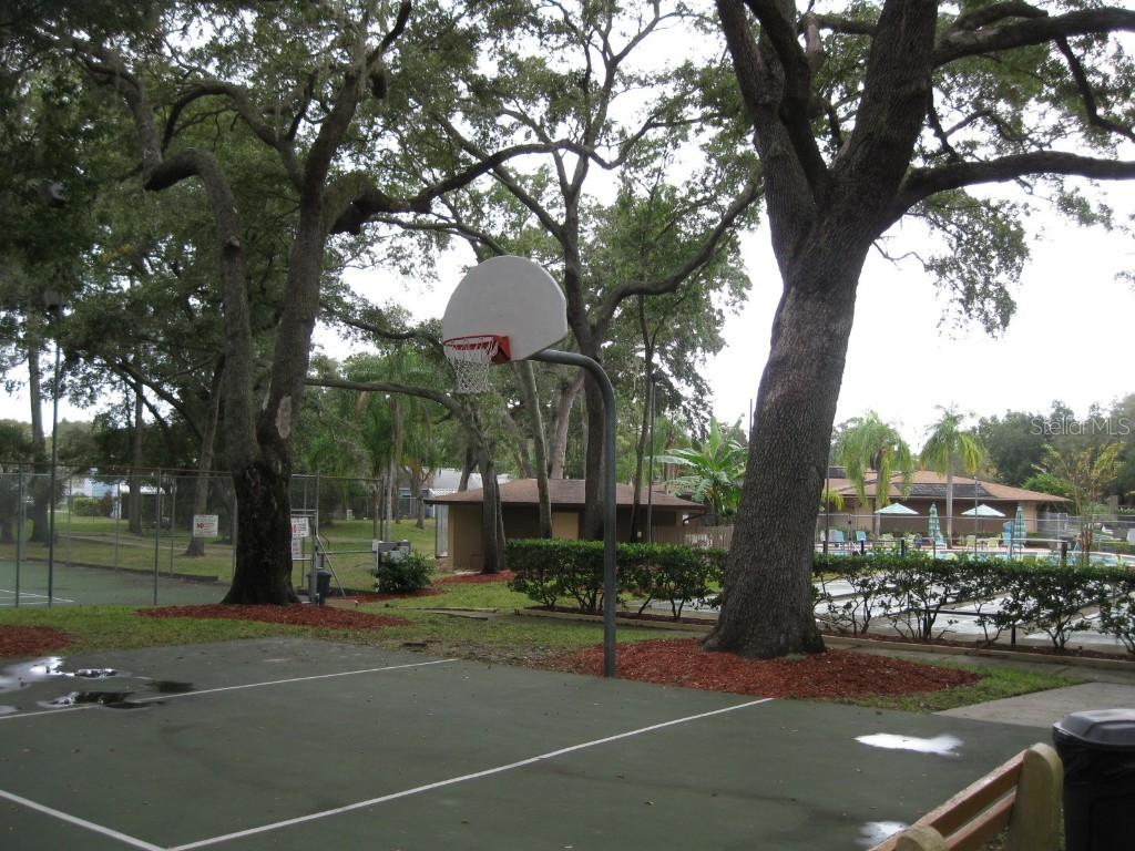 3090 Pointer Drive #3090 Palm Harbor FL 34683 TB8452766 image34