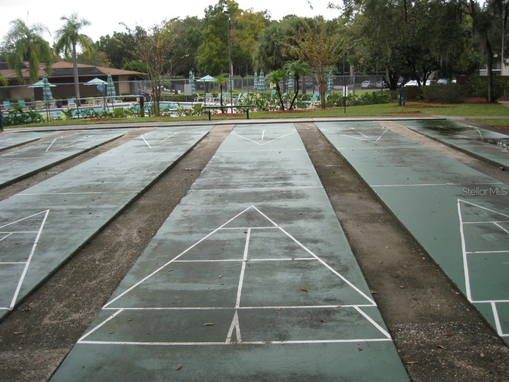 3090 Pointer Drive #3090 Palm Harbor FL 34683 TB8452766 image35