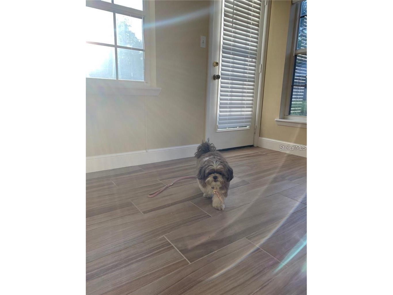 3090 Sunset Point Road Clearwater FL 33759 TB8476063 image19