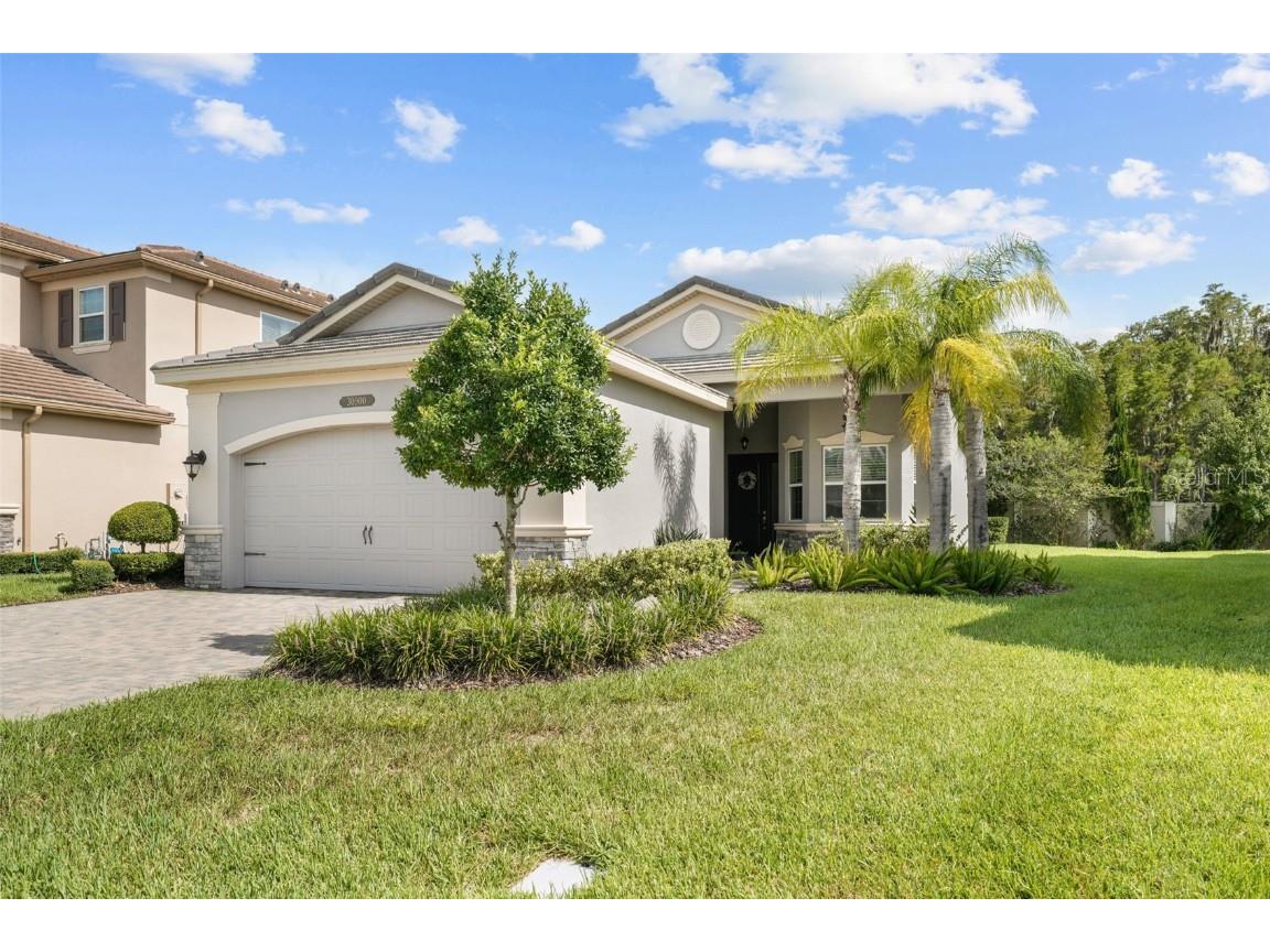 30900 Lindentree Drive Wesley Chapel FL 33543 T3545784 image1