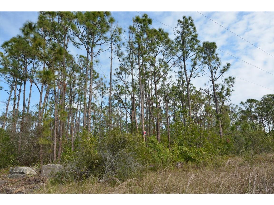 30900 Orange Blossom Boulevard Punta Gorda FL 33955 C7470623 image1