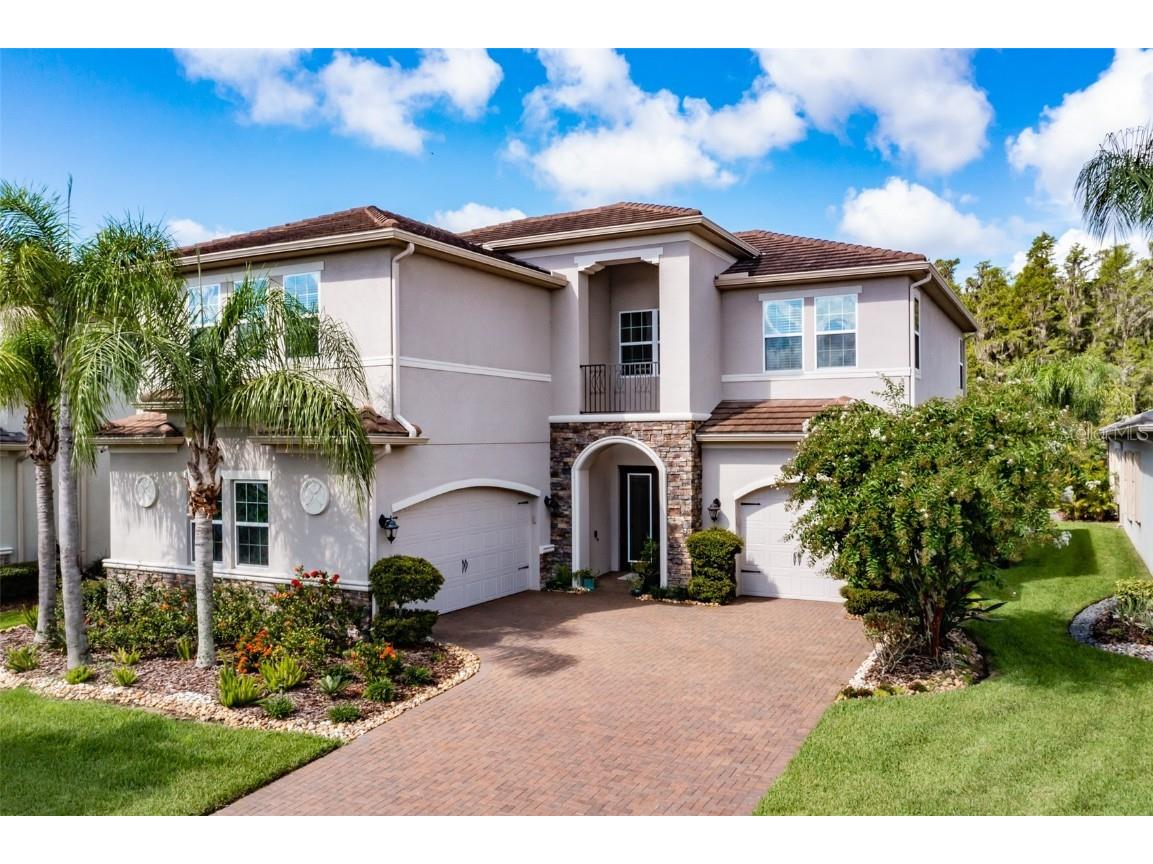 30900 Spruceberry Court Wesley Chapel FL 33543 T3459903 image1