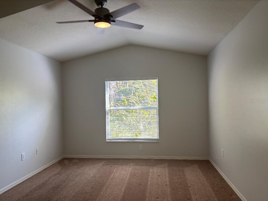 30904 Burleigh Drive Wesley Chapel FL 33543 TB8468156 image14