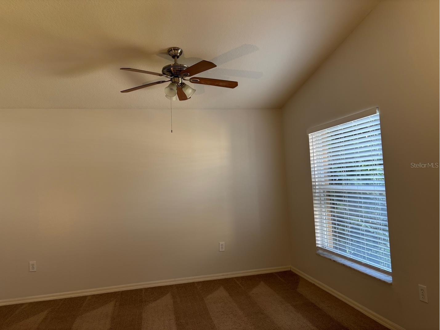 30904 Burleigh Drive Wesley Chapel FL 33543 TB8468156 image16