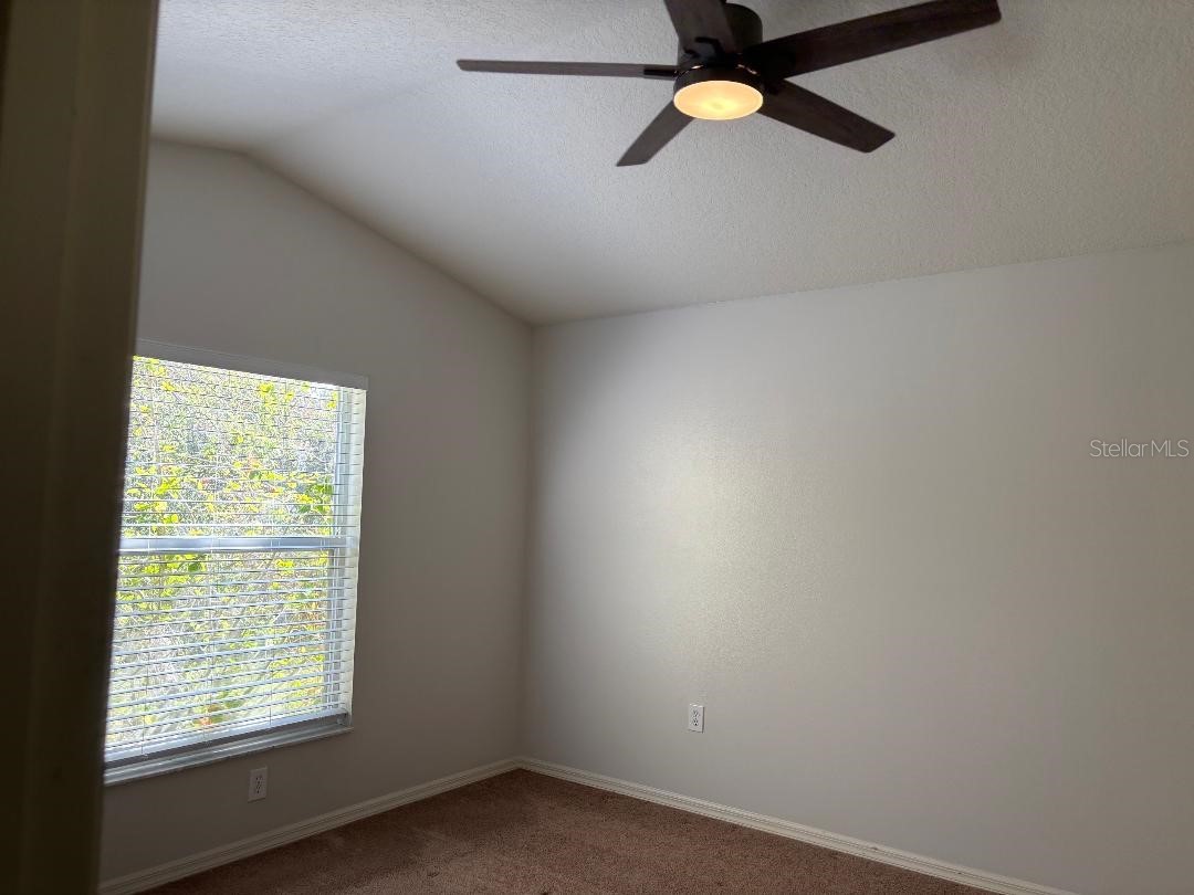 30904 Burleigh Drive Wesley Chapel FL 33543 TB8468156 image17