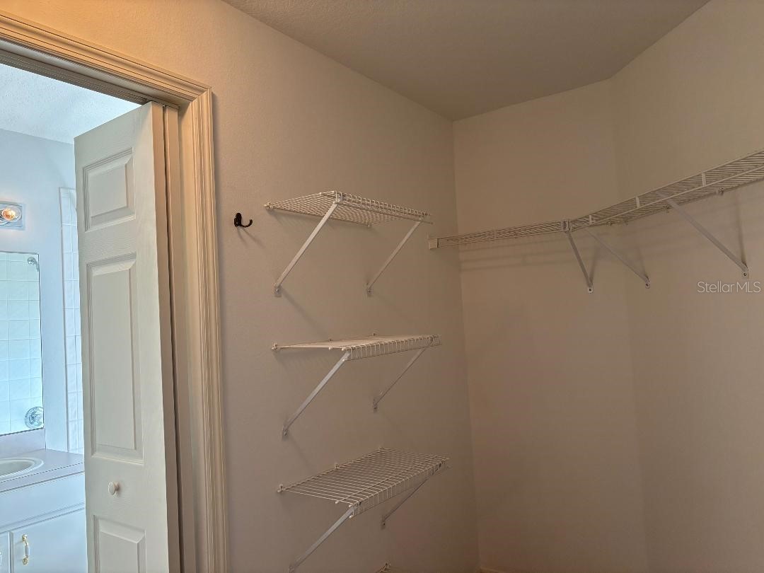 30904 Burleigh Drive Wesley Chapel FL 33543 TB8468156 image18