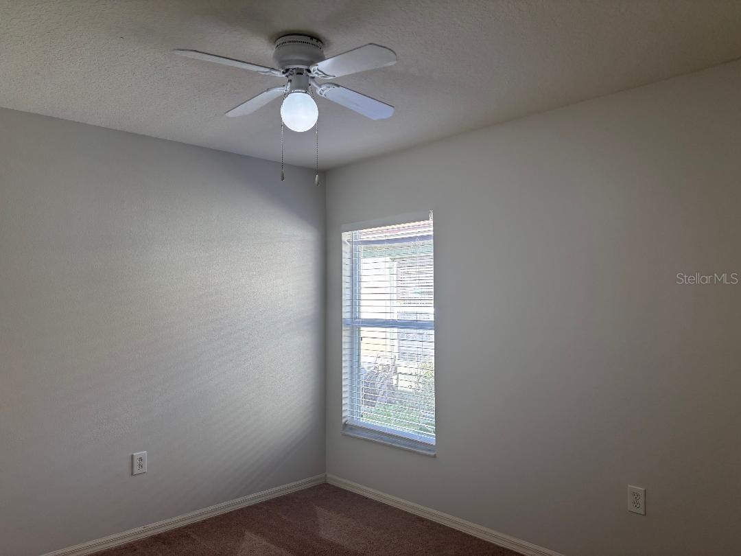 30904 Burleigh Drive Wesley Chapel FL 33543 TB8468156 image27