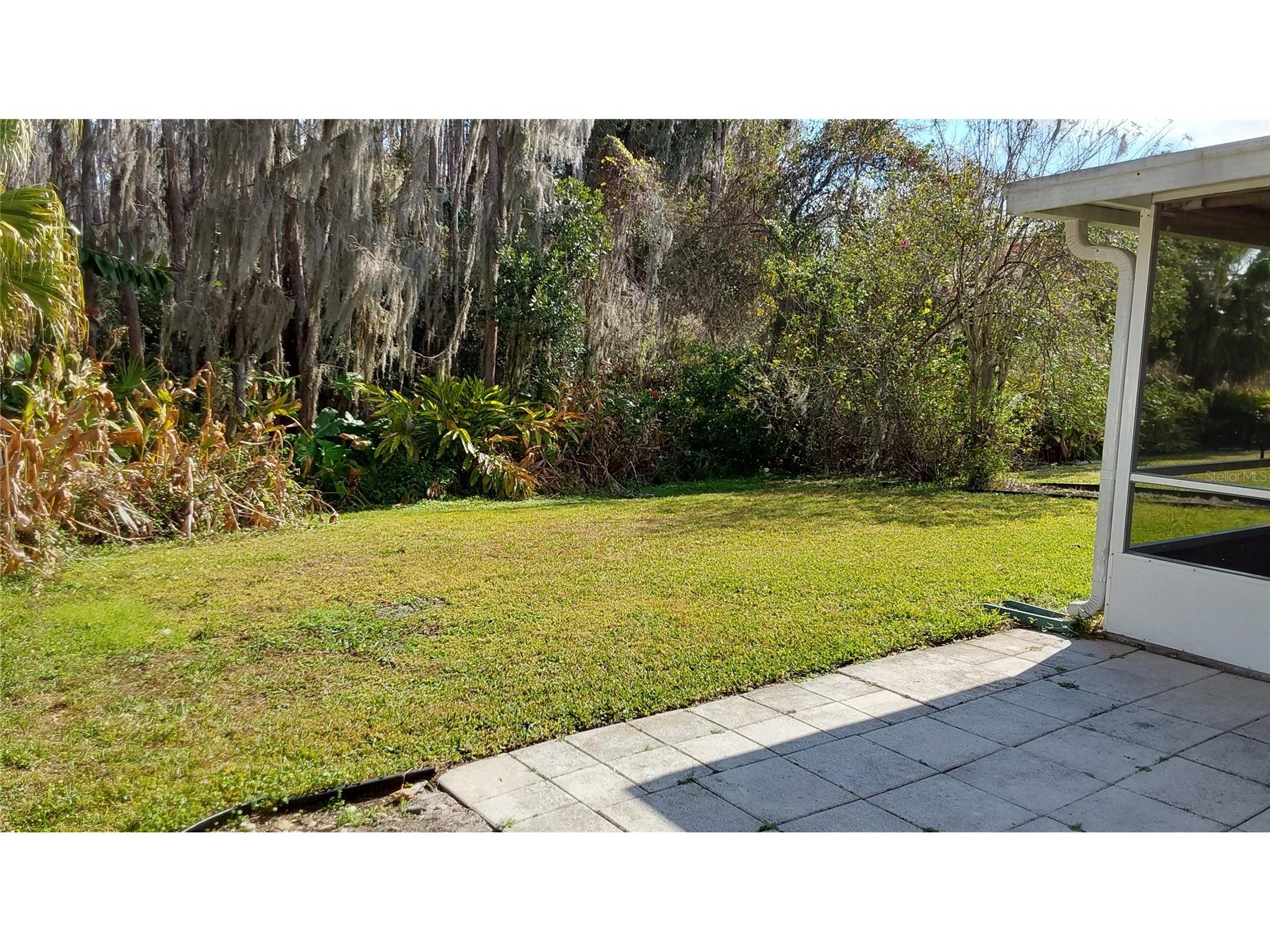 30904 Burleigh Drive Wesley Chapel FL 33543 TB8468156 image31