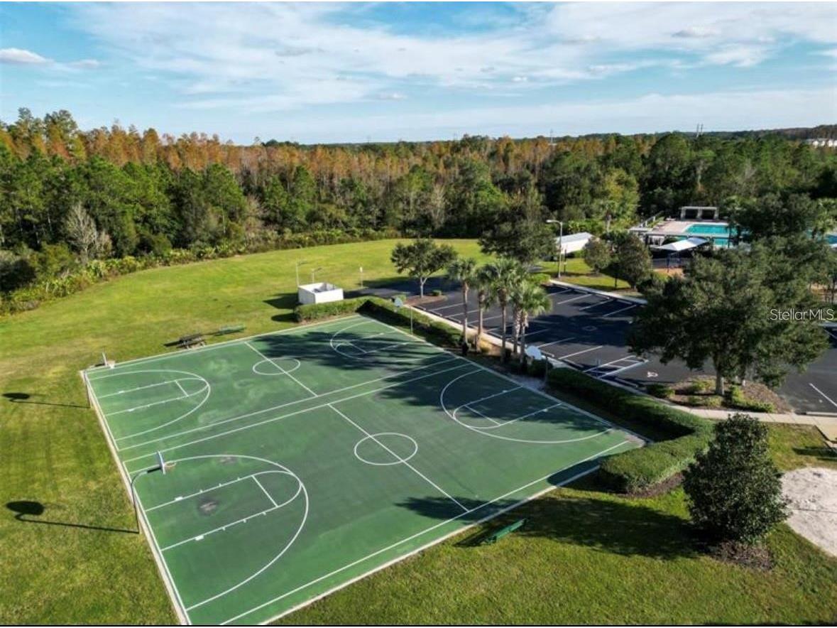 30904 Burleigh Drive Wesley Chapel FL 33543 TB8468156 image36